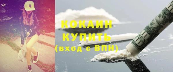 прущие грибы Каменногорск
