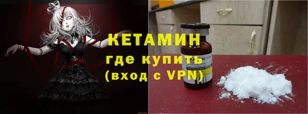прущие грибы Каменногорск