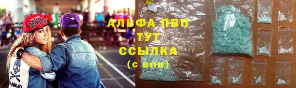 прущие грибы Каменногорск