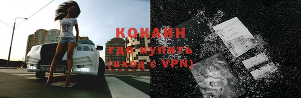 прущие грибы Каменногорск