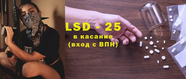 прущие грибы Каменногорск