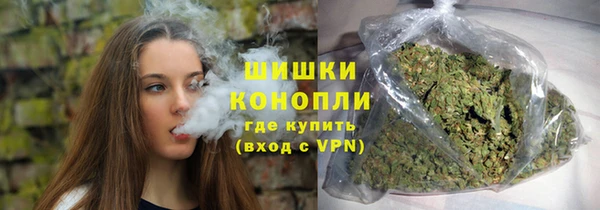 прущие грибы Каменногорск