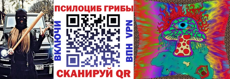 дарнет шоп  Чебоксары  Галлюциногенные грибы Magic Shrooms 